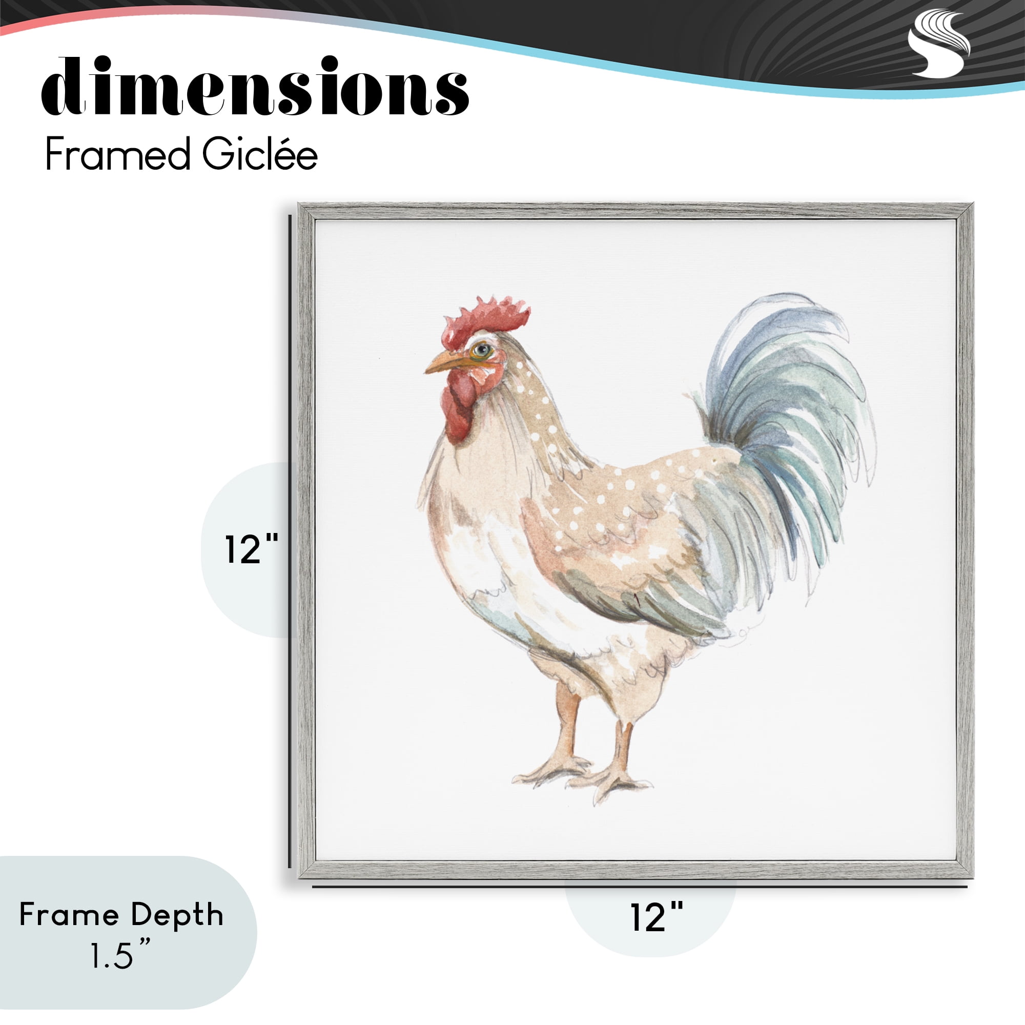 Stupell Industries Watercolor Rooster Sketch Gray Framed Giclee Art, design by Patricia Pinto