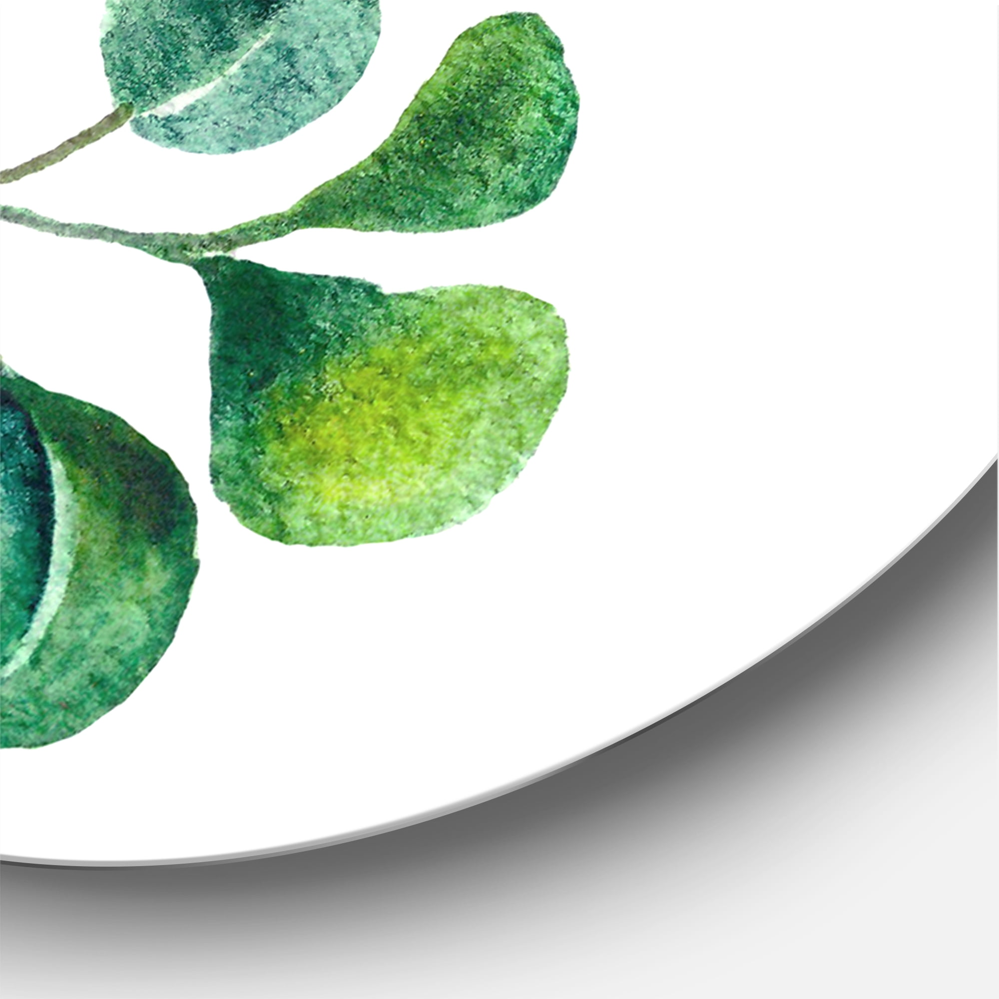Designart 'Green Eucalyptus Plant Branches II' Traditional Circle Metal Wall Art 23x23 - Disc of 23