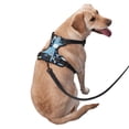 thumbnail image 3 of Lsque Airplanes and Aviation Signs Dog Harness, No-Pull Pet Harness with 2 Leash Clips, Adjustable Soft Padded Dog Vest with Easy Control Handle for Large Dogs-X-Large, 3 of 9