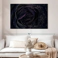 thumbnail image 2 of Elephant Stock Sparkling Black Rose Wall Art - Horizontal Canvas Wall Art - Living Room Wall Decor - Floral And Botanical Canvas - Purple And Black Decor - 51" x 34", 2 of 8