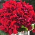 thumbnail image 3 of Enova Home Artificial Flowers Large Silk Hydrangea Fake Flowers Arrangement in Cylinder Glass Vase with Faux Water for Home Office Wedding Decoration (Red), 3 of 4