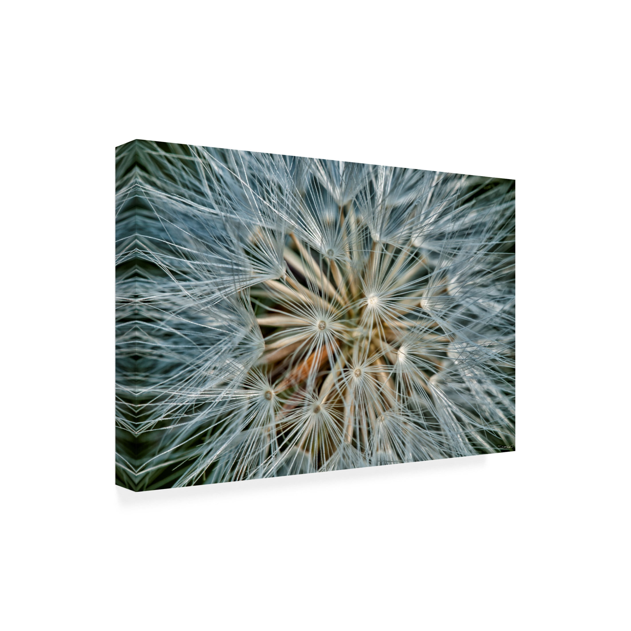 Canvas Wall Art - Gordon Semmens 'Textures 04' Wall Art for Living Room, Bedroom, or Office Décor by Trademark Fine Art - 47 x 30 Inches