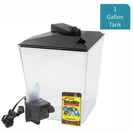 Aqua Culture 1-Gallon Fish Tank Starter Kit with (Best Fish For 10 Gallon Aquarium)