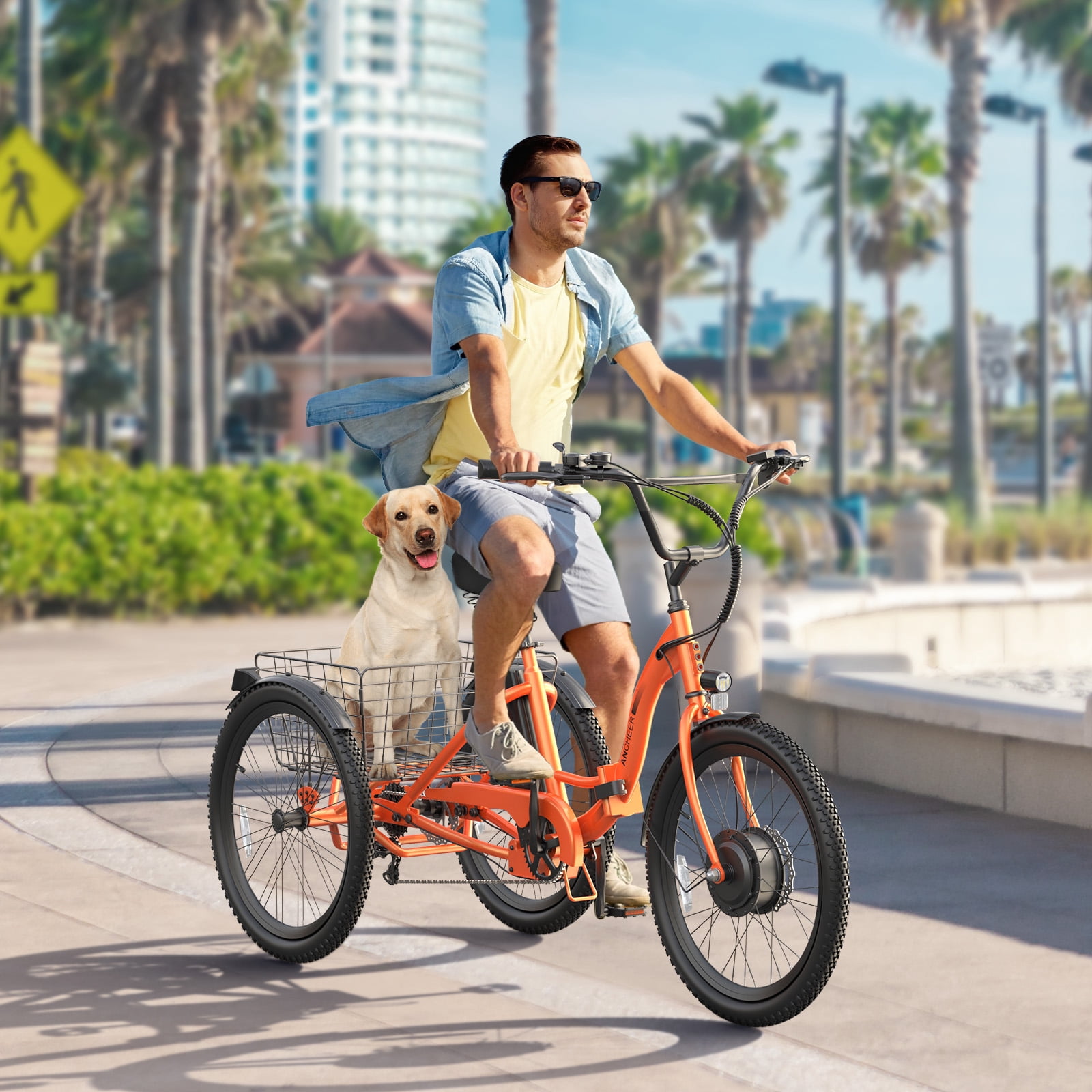 ANCHEER Electric Tricycle for Adults,24" Folding Electric Trike,3 Wheels Electric Bicycle Bikes,350W Step-Thru Etrike with 48V/499Wh Removable Battery,15.5MPH & 55Miles Electric Bike UL2849