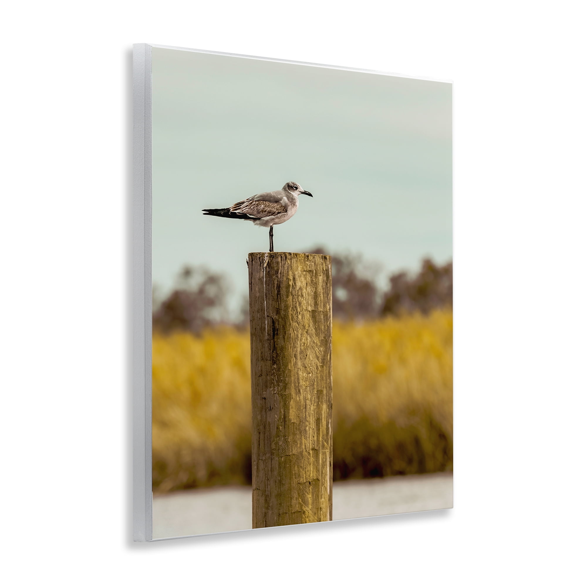 Stupell Industries Gull On Piling Wall Plaque Art, design by Christy Berry