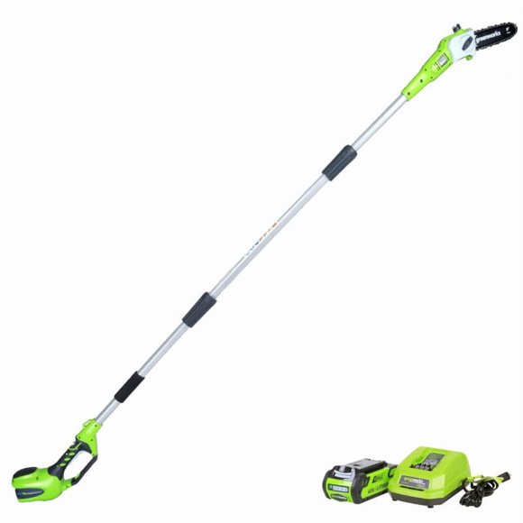 Greenworks Scie à Poteau 40 V de 8 Pouces, Batterie 2,0 Ah et Chargeur Inclus