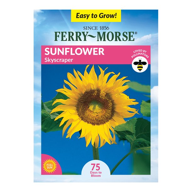 FerryMorse 3.4G Sunflower Skyscraper Annual Flower Seeds (1 Pack