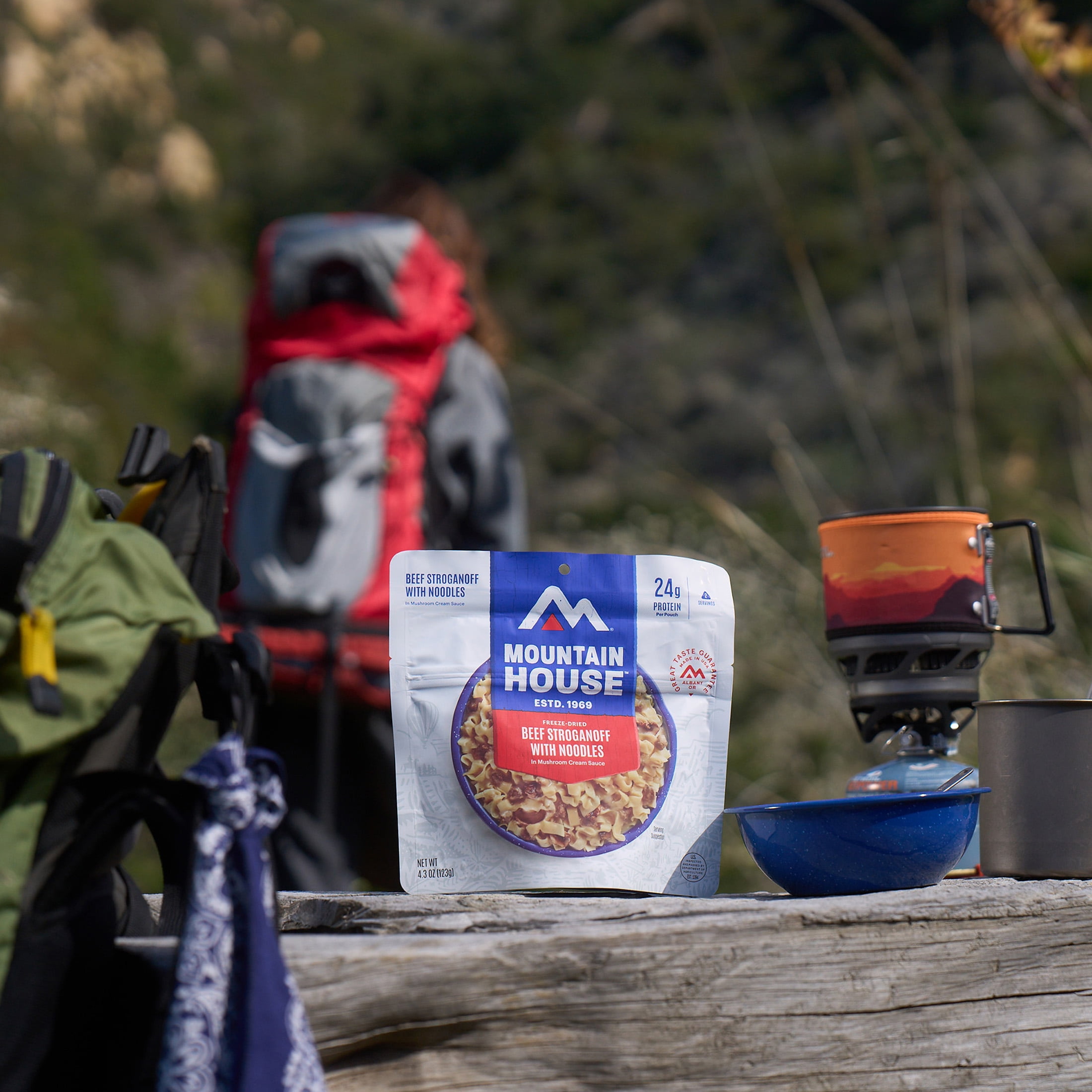(4 pack) Mountain House Beef Stroganoff with Noodles, Freeze-Dried Backpacking & Camping Food, 2 Servings