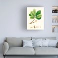 thumbnail image 3 of Unknown 'Spring Green Foliage II' Canvas Art, 3 of 3