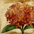 thumbnail image 2 of Vision Studio 15x15 White Modern Wood Framed Museum Art Print Titled - Vibrant Floral III, 2 of 4