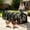 Black, variant on Mesh Chicken Tunnel for Outside Flexible Chickens Runs Portable Poultry Enclosure with Cover Poultry Coop Run Tunnel Expandable Playpen for Yard Quick Installation Backyard 45Inch