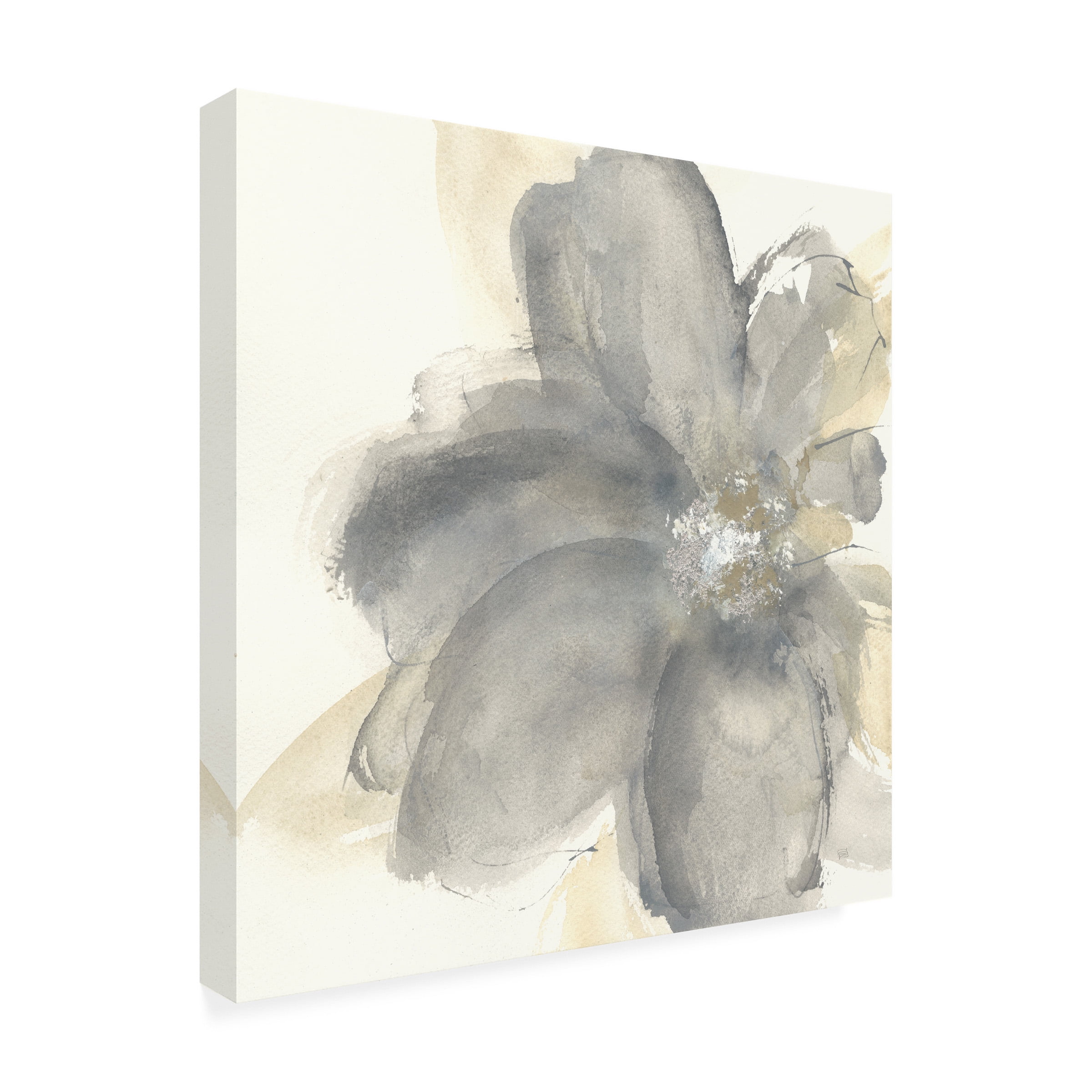 Trademark Fine Art Chris Paschke Floral Gray I Canvas Wall Art - 24x24