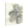 thumbnail image 3 of Trademark Fine Art Chris Paschke Floral Gray I Canvas Wall Art - 24x24, 3 of 5