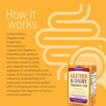 thumbnail image 3 of Nature's Secret Gluten & Dairy Digestive Aid - 50 Capsules - Helps Break Down Wheat Protein & Milk Lactose - 25 Servings, 3 of 7