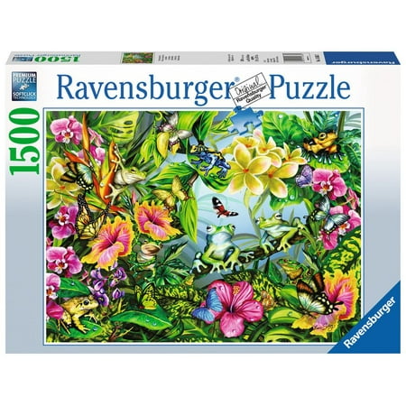 find the frogs 1500