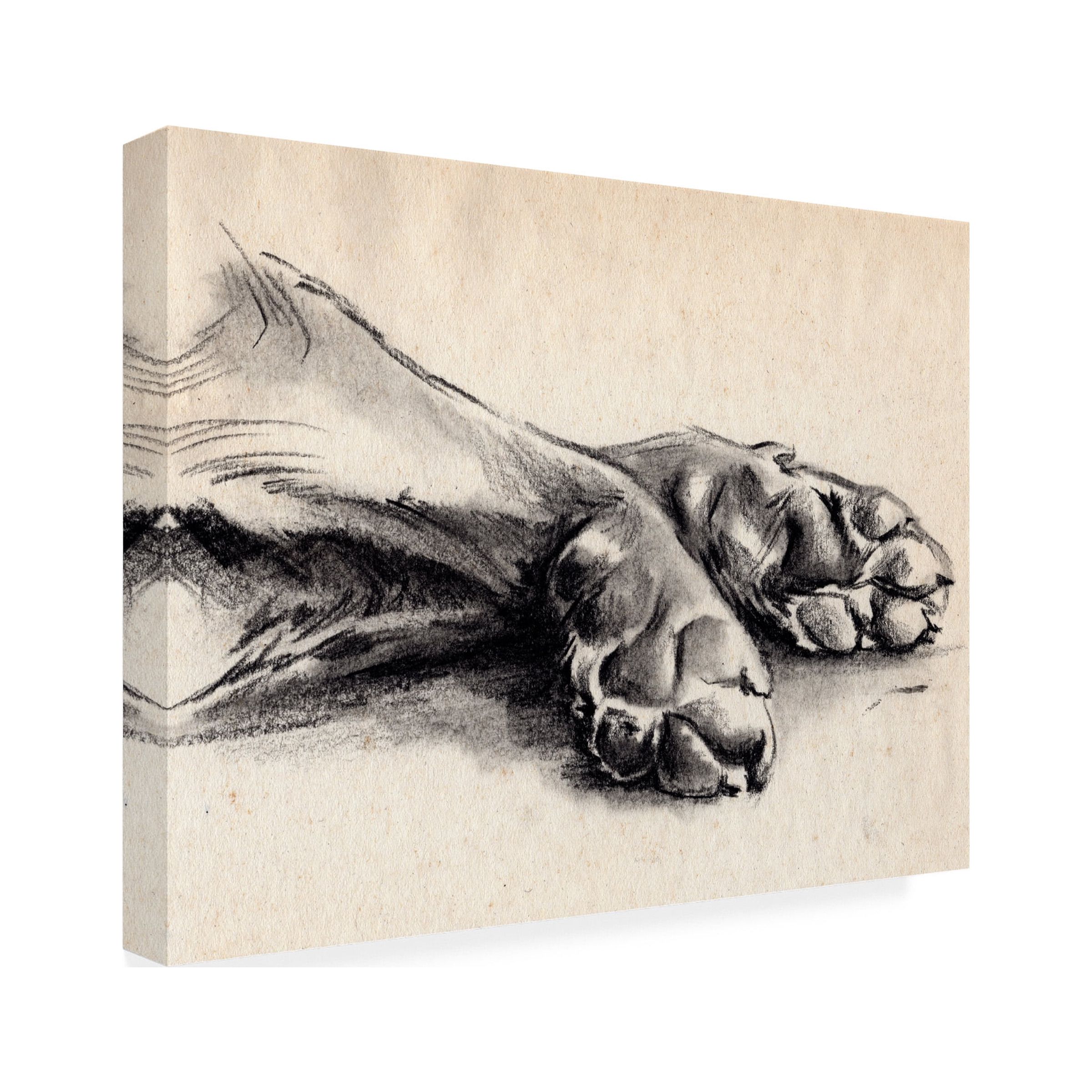Jennifer Paxton Parker 'Charcoal Paws II' Canvas Art