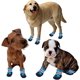 thumbnail image 5 of Botas para perros, 4 pares de zapatos impermeables para perros con correas reflectantes antideslizantes, botas protectoras para cachorros, perros pequeños y medianos (S, azul), 5 of 5