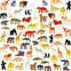 thumbnail image 2 of Juguete de animal, 64 paquete mini modelos de animales de plástico salvaje kit juguetes, jóvenes animales real KarberDark KarberDark, 2 of 2