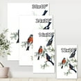 thumbnail image 4 of Designart ' Vintage Countryside Birds On Branch III ' Farmhouse Canvas Wall Art Print, 4 of 4