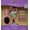Tiana, variant on Wet Brush Tiana Girls Gift Set Disney Princess Limited Edition Hair Band Accessory Kids Kit Detangler - 7 Count Includes - 2 Sizes Brushes - 5 Jelly Bands