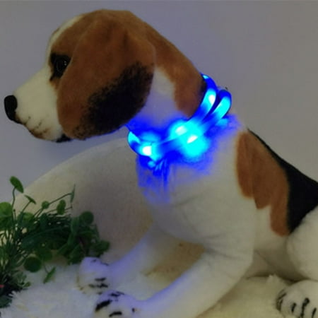 LED Pet Dog Collar USB Rechargeable Pet Dog Glowing Collar for Night Safety Light for Small Medium Large (Best Night Time Dog Collar)