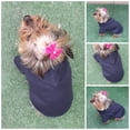 thumbnail image 2 of Sudadera para perro o gato Mi Baúl Azul Marino Talla 0, 2 of 4