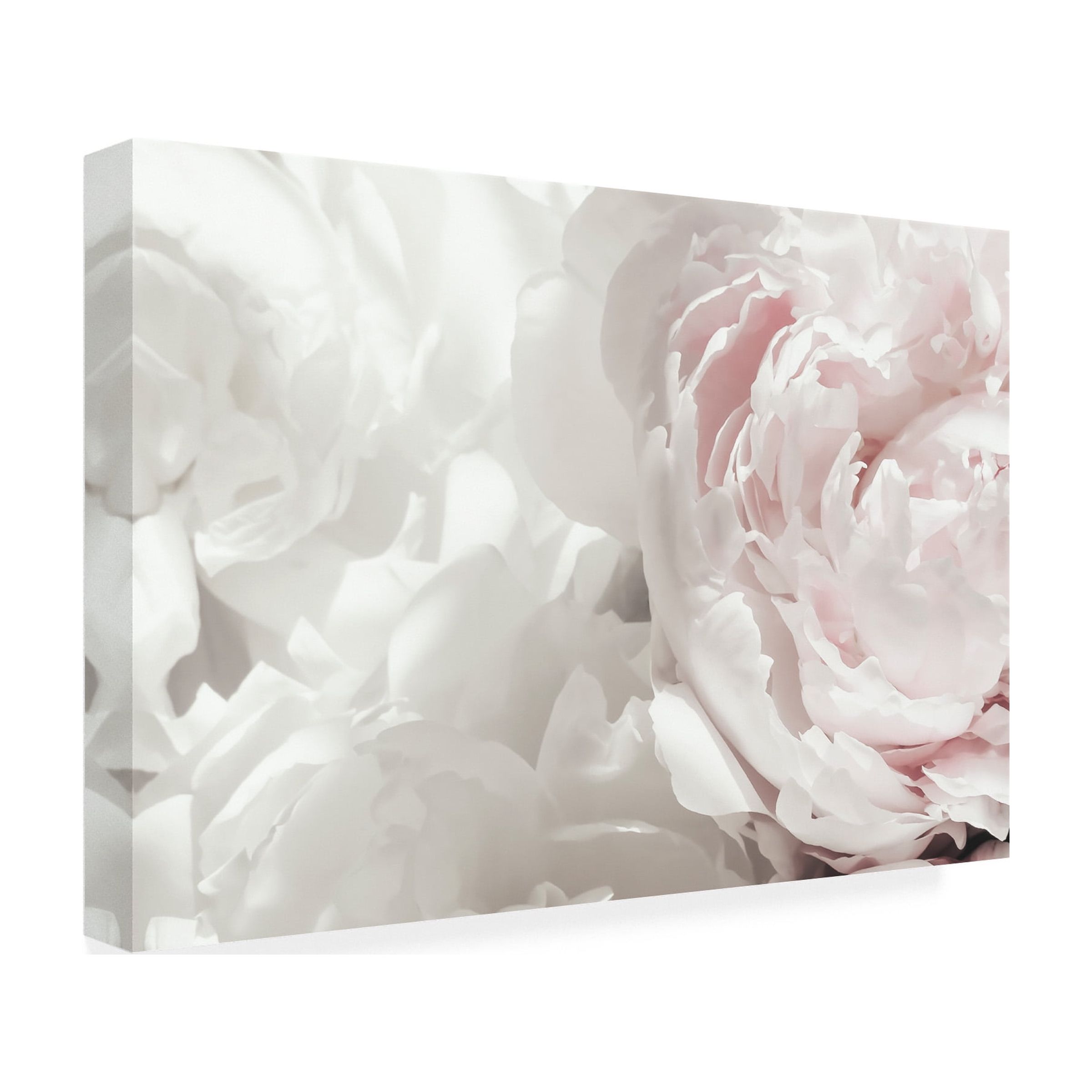 Trademark Fine Art Pictufy Studio III Peony 25 Canvas Wall Art