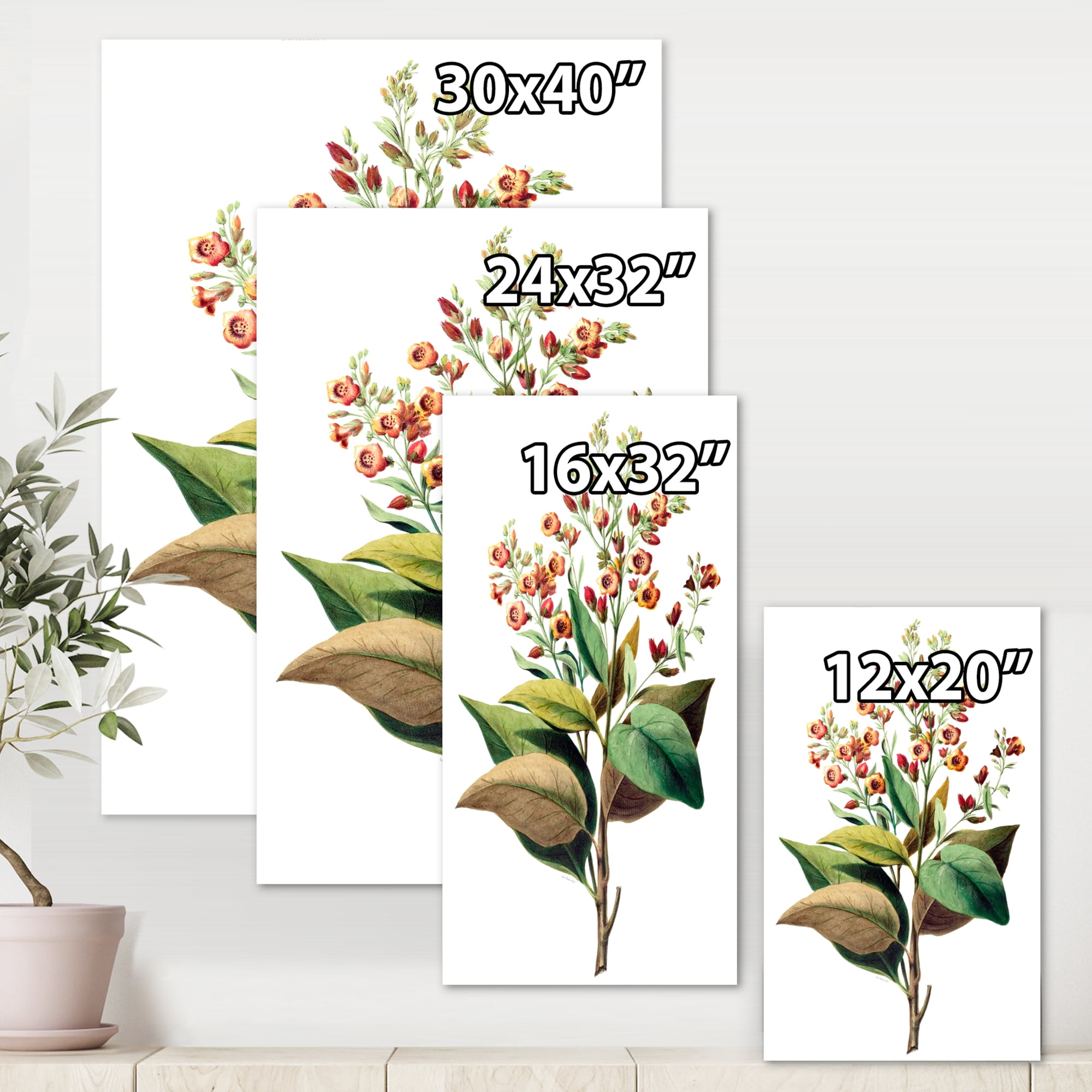 American Vintage Flowers II 16 in x 32 in Painting Canvas Art Print, by Designart