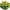 Yellow, variant on Zukuco 6 Bundles Artificial Flowers, Artificial Wildflowers for Decor, Artificial UV Resistant Outdoor Plants, Plastic Faux Flowers for Garden Porch Decor (Purple)