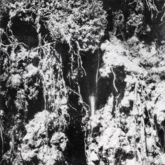 Den Sorte Dod - Den Sorte Dod - Electronica - Vinyl