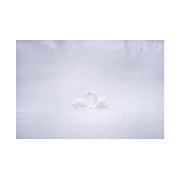 Trademark Fine Art Joan Zhang Love In The Foggy Morning Canvas Wall Art
