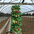 thumbnail image 3 of Transemion Planting Bag Professional Hanging Plant Bags Growing Nutrition Potato Container Planter Pot Accessories Storage Red, 3 of 6
