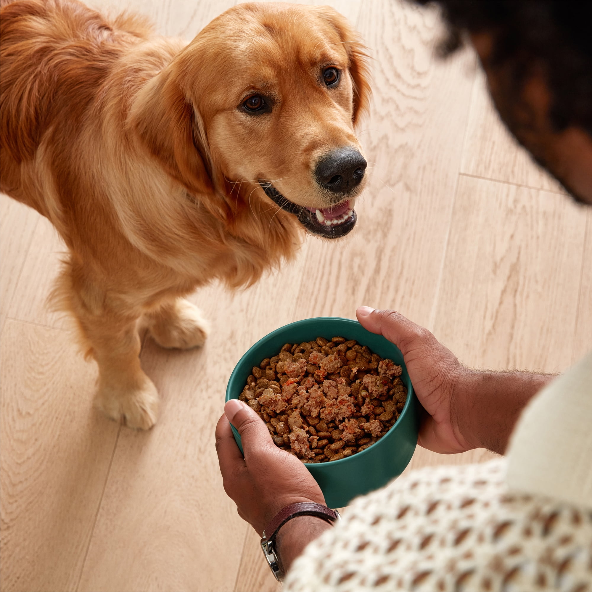Jinx Chopped Beef Recipe Natural Wet Dog Food, Grain-Free, 13 oz. Can
