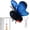 Blue, variant on Lethargic Smart Sensing Flapping Butterfly ToyInteractive Cat, 6.50 x 3.15 x 1.97 in ABS Polyester Toy for Indoor Cats