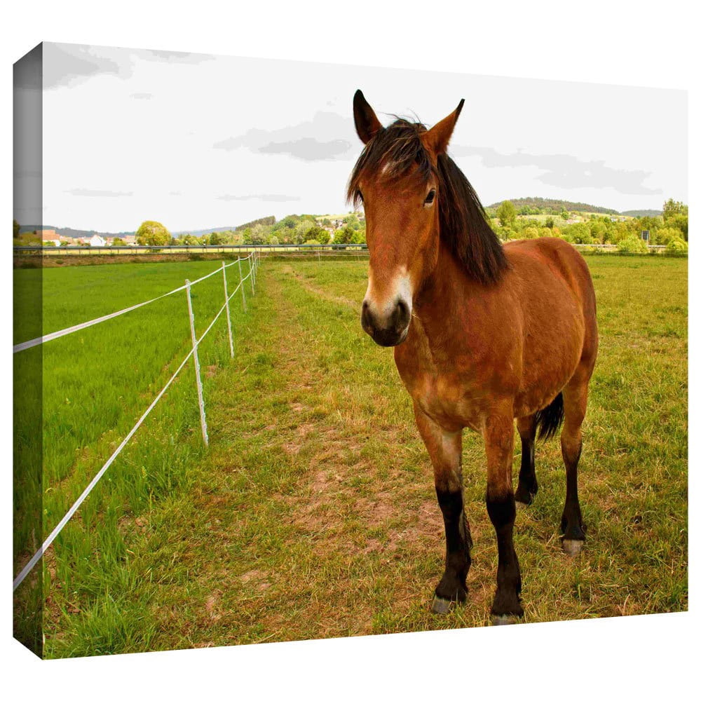 Lindsey Janich "Horse Painted II" Gallery-Wrapped Canvas