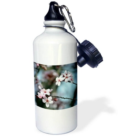 

3dRose Spring Day - Pink Cherry Blossom Flowers - Trees Sports Water Bottle 21oz