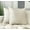 Ivory, variant on Aiking 2 Pieces of 18" x 18" Brushed 100% Polyester Decorative Throw Pillow Covers, Zipper Closure, Ivory