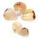 thumbnail image 4 of 0, 4 of 5
