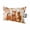 Beige, variant on 1 Pack Outdoor Waterproof Throw Pillows for Head,Thanksgiving Hedgehog Fox Squirrel Cushion Cases with Insert&Straps Neck Pillows for Patio Recliner Chair,Fall Maple Leaf Retro Linen