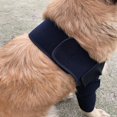 thumbnail image 5 of Codera acolchada para perros pequeños y medianos - Protector de heridas en las patas de las mascotas universal para patas delanteras y traseras, 5 of 5
