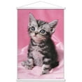 thumbnail image 1 of Keith Kimberlin - Kitten - Cute Wall Poster with Wooden Magnetic Frame, 22.375" x 34", 1 of 3