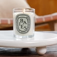 thumbnail image 3 of Diptyque Scented Candle - Baies (Berries) 190g/6.5oz, 3 of 6
