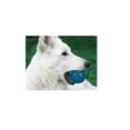 thumbnail image 2 of Juguete Pelota Flexible Fancy Pets PELOTA CON SONIDO, 2 of 2