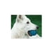 thumbnail image 2 of Juguete Pelota Flexible Fancy Pets PELOTA CON SONIDO, 2 of 2