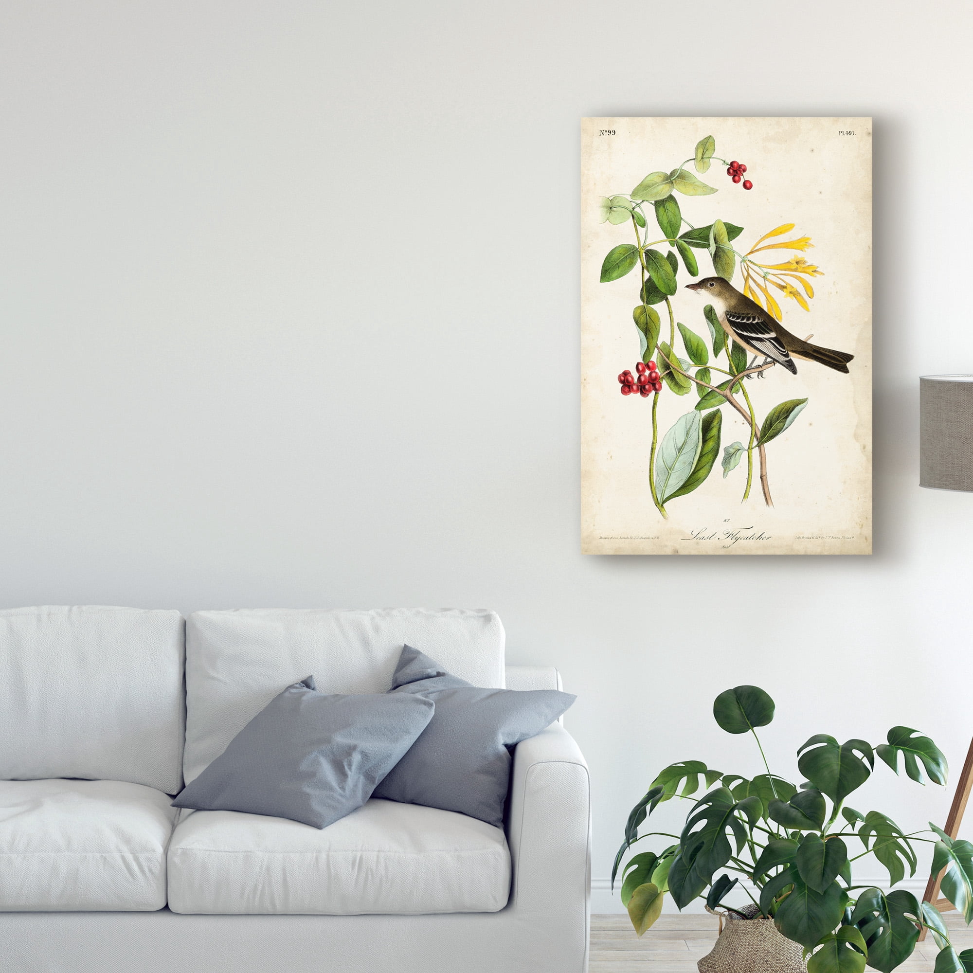 Trademark Fine Art 'Audubon Bird and Botanical II' Canvas Art by John James Audubon