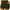 Army Green, variant on RYDCOT Shorts for Women Trendy Summer 2024 Casual Elastic Waist Shorts High Waisted Fashion Beach Cruise Shorts Comfy Shorts with 2 Pockets on Clearance
