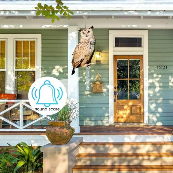 Wall hanging Owl To Keep Birds Owls Bird Scarers Reflective Hanging Bird Decoration Side Printed Owl To Keep Birds From Garden