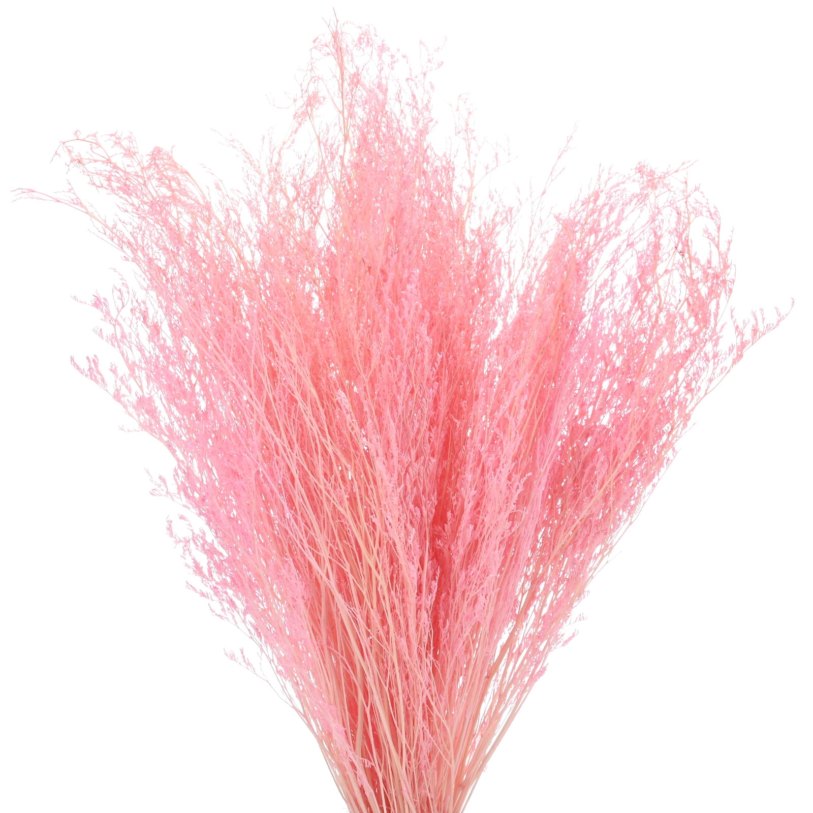 Uxcell Dried Flowers Bouquet 17" Dry Limonium Flower Bundle [Pink, 120g]