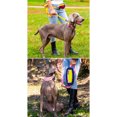 thumbnail image 4 of Laisse de Chien de Qualité Supérieure Réglable Longueur Poignée Laisse Élastique avec Pochette pour la Randonnée Jogging Vélo de Course à Pied, 4 of 9