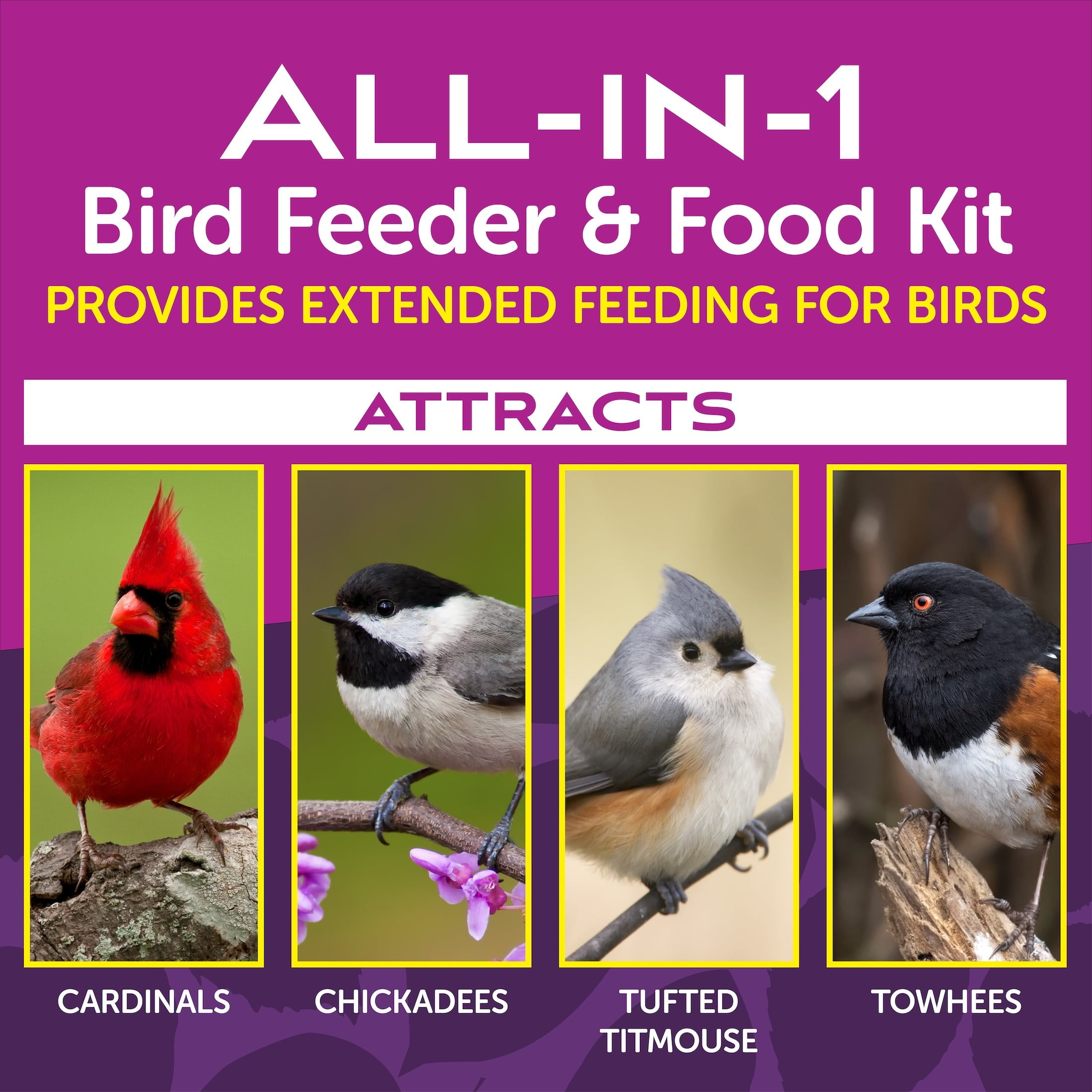Pennington Earth Smart Grand Ecozebo 10lb Capacity Wild Bird Feeder and Feed Starter Kit 1 Each